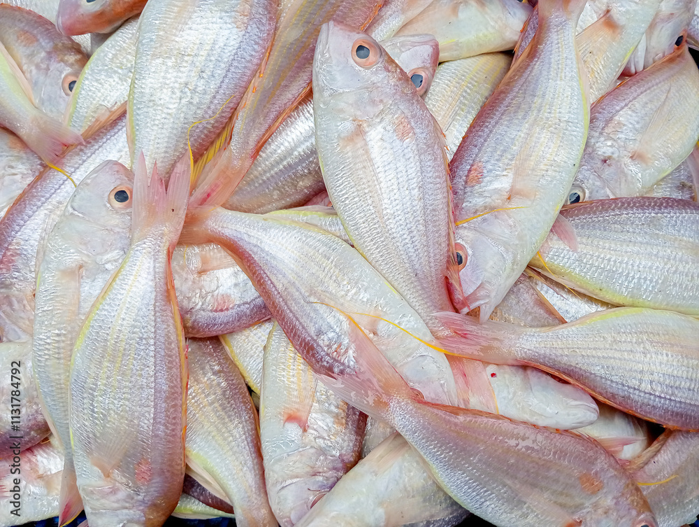 Fototapeta premium Red kurisi fish (Nemipterus virgatus). Sea fish in the market