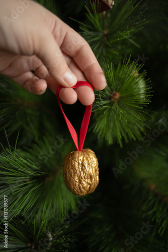 hanging the golden walnut on the Christmas tree