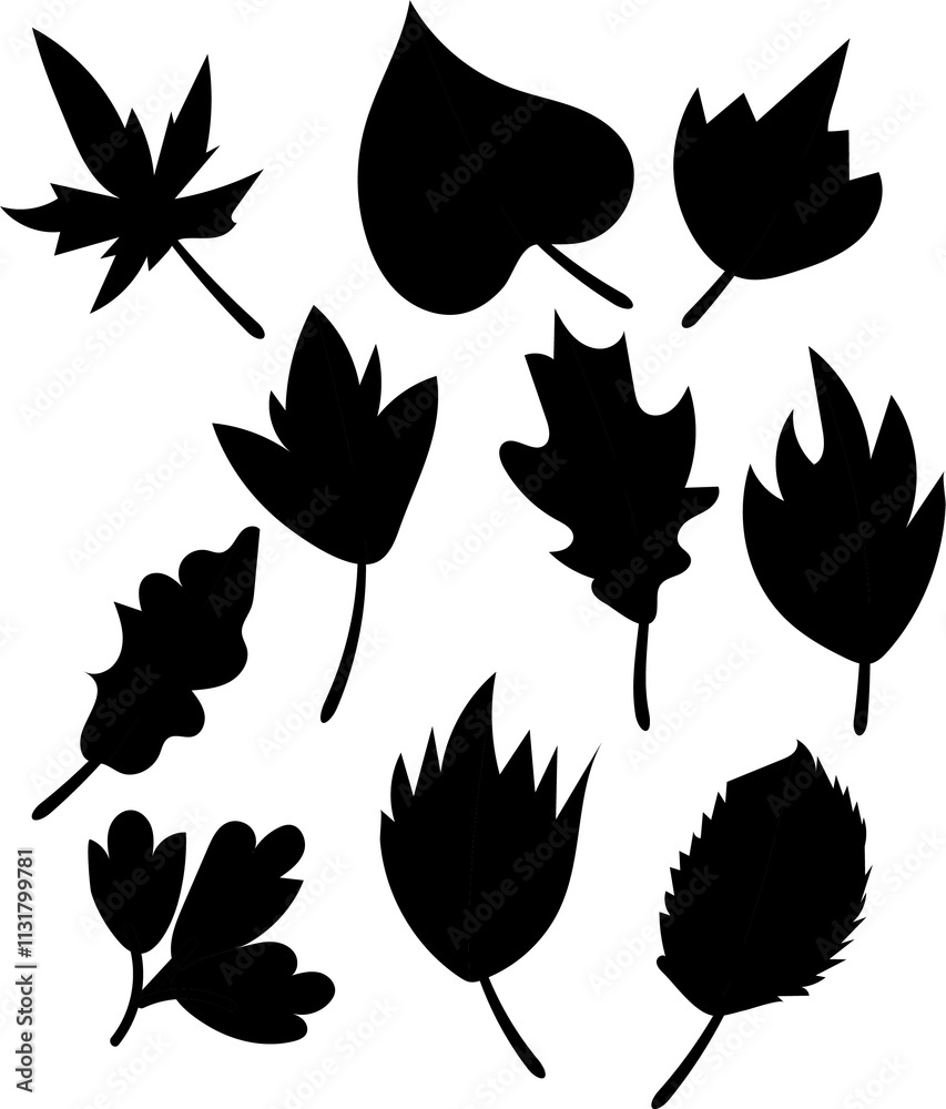 Obraz premium Leaf icons set isolated on white background. Leaf vector illustration