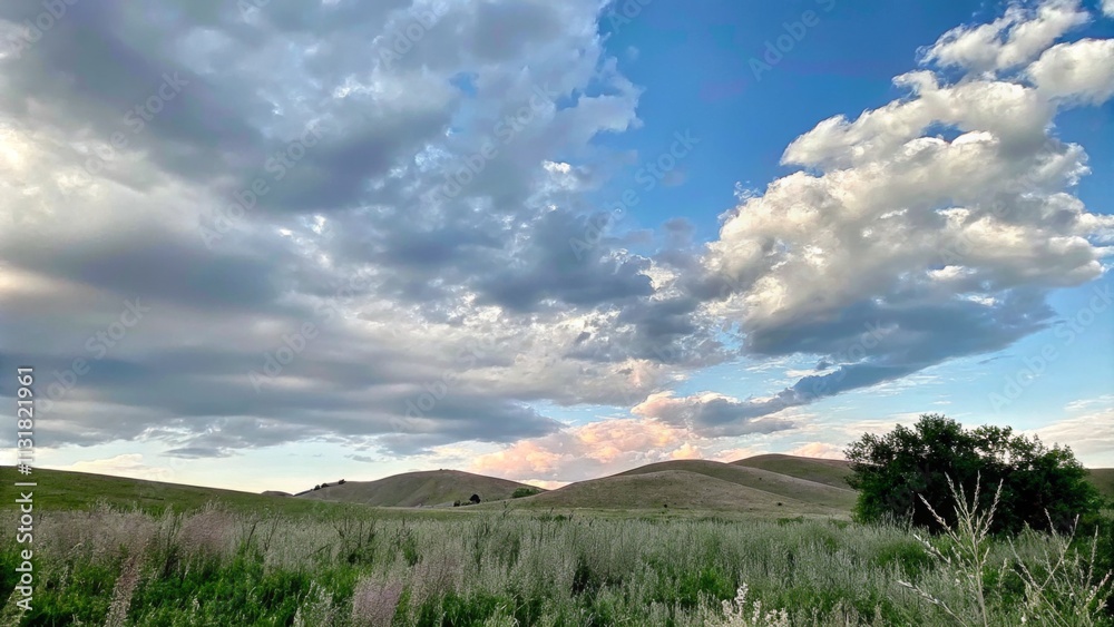 Naklejka premium Wildflowers on Rolling Hills Under a Vibrant Sky for Fresh and Natural Landscape Photography 
