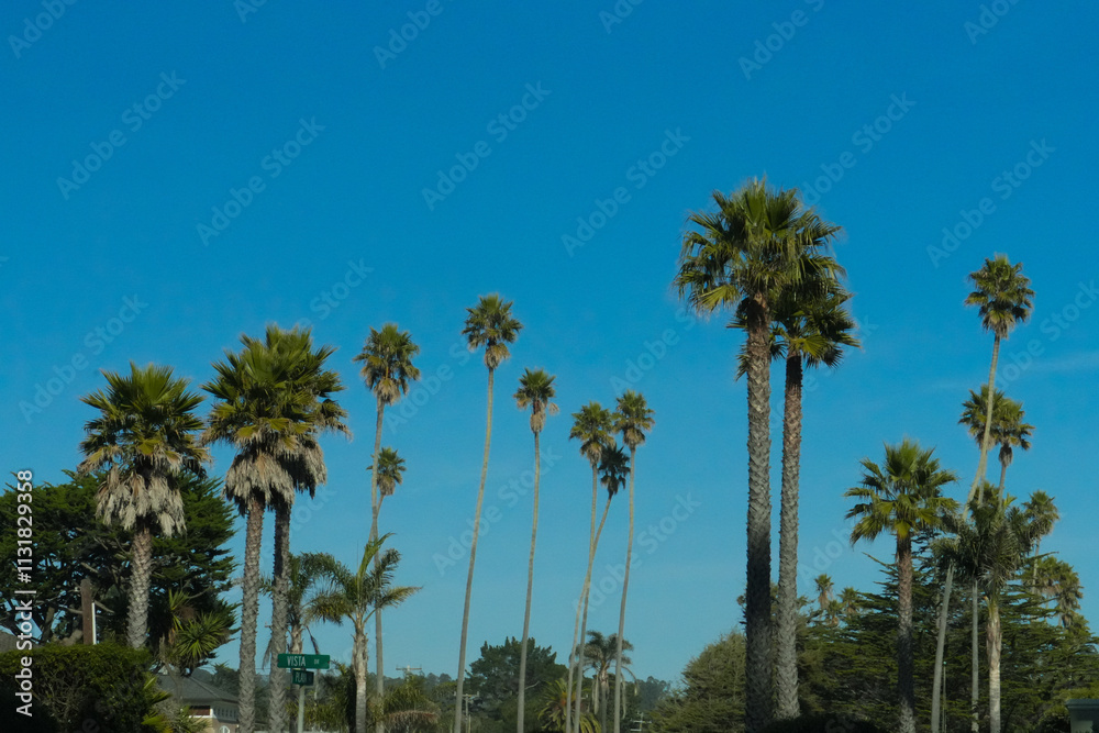 Fototapeta premium Pacific Ocean, Blue Waves, Beach