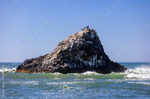 Lava rock formation with sea birds and a blue sky off the shore of the Pacific Oregon coast, USA