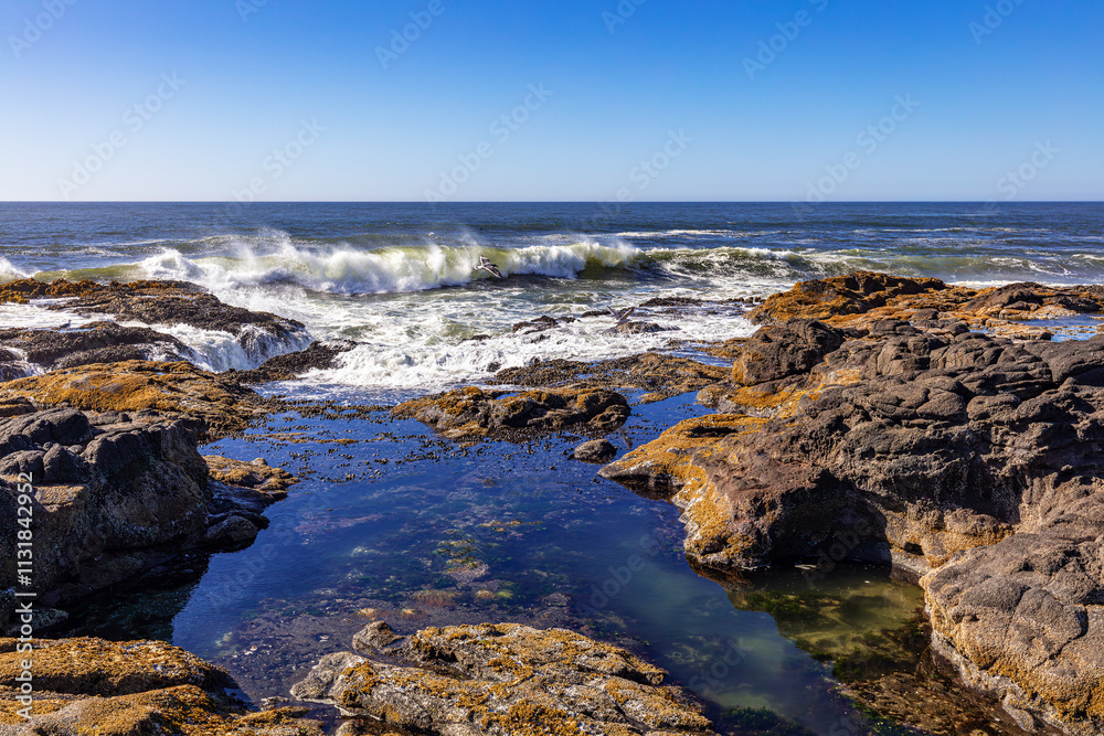 Obraz premium Tide pool and crashing waves on the central Oregon coast with blue sky, USA. 