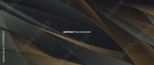 A dark abstract background with abstract objects of modern and elegant outlines. The dark color creates an exclusive impression. Vector template for digital lux business banner, contemporary formal in