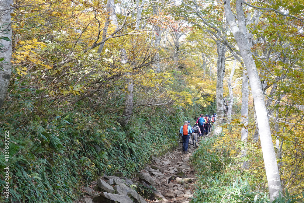 Obraz premium Fall Mt. Tanigawa Hiking, Gunma, Japan lined up people on the trail