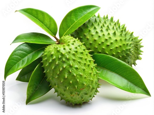 Long Exposure Photography: Fresh Green Soursop Leaves Isolated White Background - Stock Photo