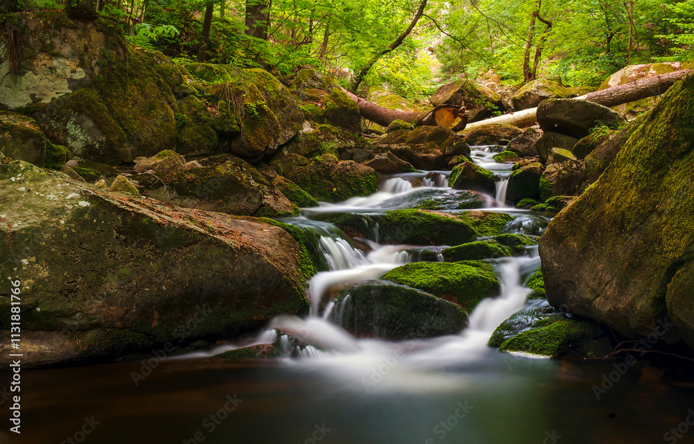 Obraz premium waterfall in the forest