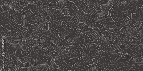 Topography Backgrounds Web graphics.Topographic map material for designing nature, mountain climbing, camping, etc.