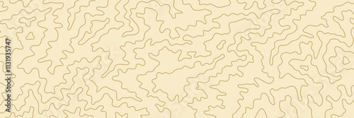 Topography Backgrounds Web graphics.Topographic map material for designing nature, mountain climbing, camping, etc.