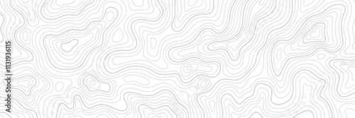 Topography Backgrounds Web graphics.Topographic map material for designing nature, mountain climbing, camping, etc.