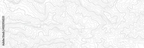 Topography Backgrounds Web graphics.Topographic map material for designing nature, mountain climbing, camping, etc.