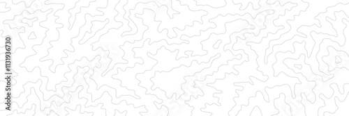 Topography Backgrounds Web graphics.Topographic map material for designing nature, mountain climbing, camping, etc.
