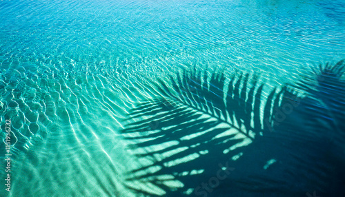 Abstract background palm leaf shadow from above over transparent water surface with sunlight reflection top view travel and wellbeing.Generative AI
