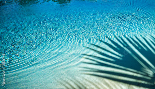 Abstract background palm leaf shadow from above over transparent water surface with sunlight reflection top view travel and wellbeing.Generative AI
