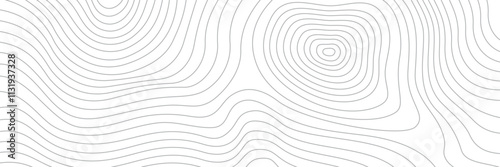 Topography Backgrounds Web graphics.Topographic map material for designing nature, mountain climbing, camping, etc.