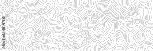 Topography Backgrounds Web graphics.Topographic map material for designing nature, mountain climbing, camping, etc.