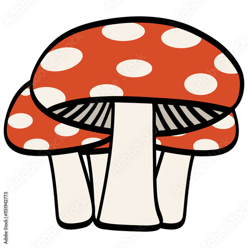 Fly Mushroom Illustration Autumn Mushroom Cap and Stem Illustration