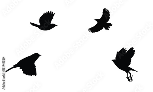 Flying Zitting Cisticola Bird Silhouette Design  And Vector Illustration. 