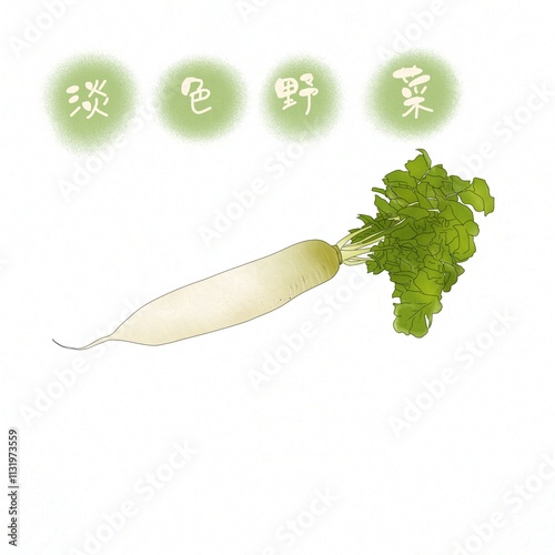 carrot and cucumber