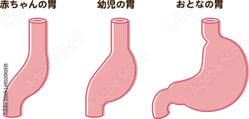 赤ちゃんの胃のサイズ、Baby Stomach