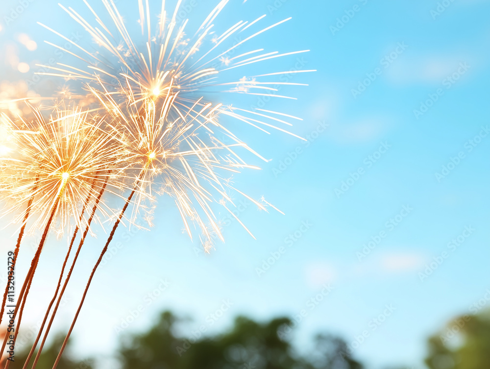 Fototapeta premium red fireworks