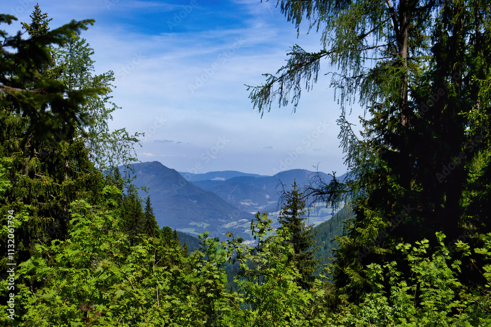 Obraz premium Green trees framing blue sky with white clouds over mountains on a spring day in the Bavarian Alps of Germany near the Eagle's Nest.