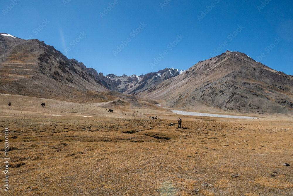 Φωτογραφία Surreal scenery in the high meadows of Shimshal Pass, Shimshal, Gojal, Pakistan