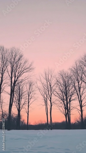 Silhouette of Bare Trees Against a Winter Sunrise  Winter Sunrises and Sunsets, Winter season, Happy New Year, Happy Christmas 