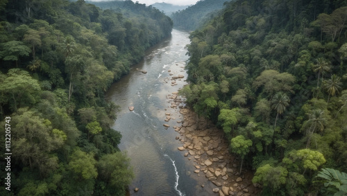 Drone View of River in Rainforest: A Generative AI Artwork of Nature's Majesty photo