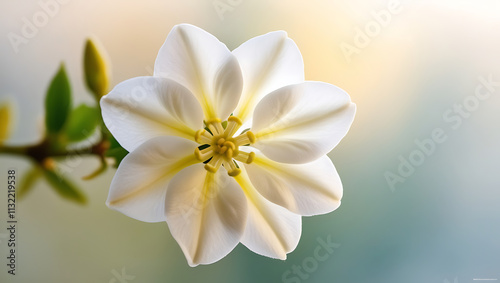 jasmine flower blooming in the morning, created by Generative AI