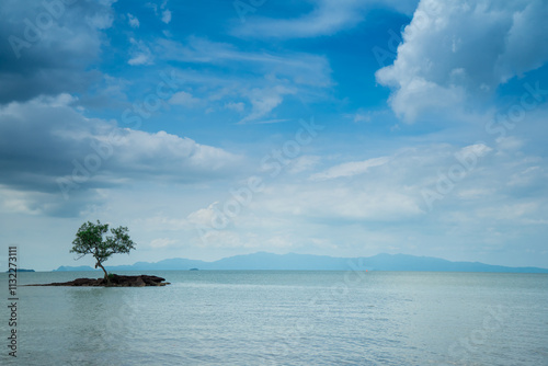 A single tree standing alone growing in the middle of mountain lake with cloud and blue sky background. photo