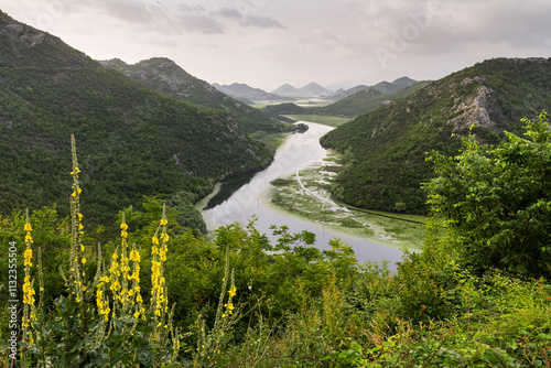 Rijeka Crnojevića Fluss, Skadarsko Jezero Nationalpark, Montenegro photo