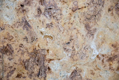 Random, Unique, Natural Cannstatter Travertine Texture - Freshwater Limestone Background photo