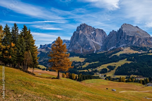 Panoramic view of the Sasso Lungo group in the Dolomites, Italy.