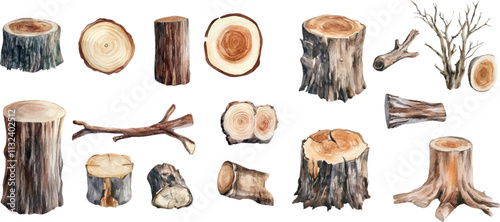 Watercolor vector illustration of wood, stump, and branch isolated on white background.