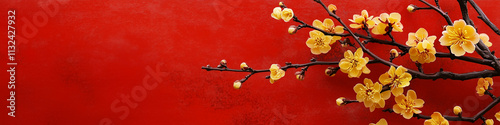 Branch with yellow apricot flowers on a dark red background. Tet, Lunar New Year or Chinese New Year card background, copyspace for your text. Spring flowers. Long web banner. photo