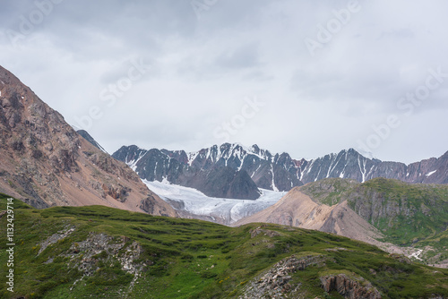 Wallpaper Mural Scenic landscape with dense thicket in green alpine valley. Lush flora on rock hill with view to big glacier and large snow mountain range far away under rainy gray cloudy sky. Awesome high mountains. Torontodigital.ca