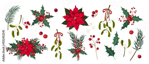 Collection of winter plants. Fir branch, mistletoe, poinsettia, holly, branch with berry. Christmas elements. Vector illustration.