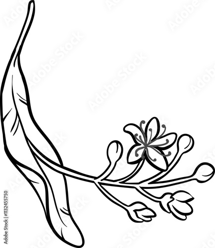 linden branch vector