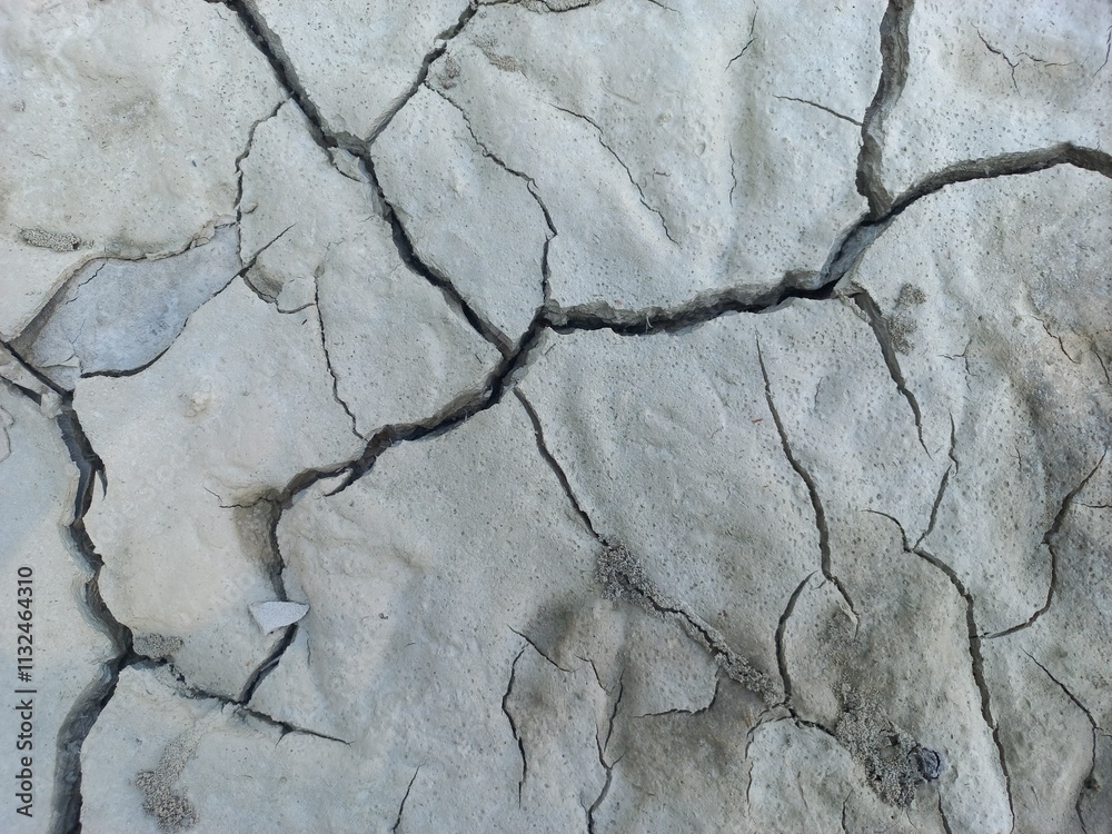 Obraz premium A Glimpse of the Dry Season Impact