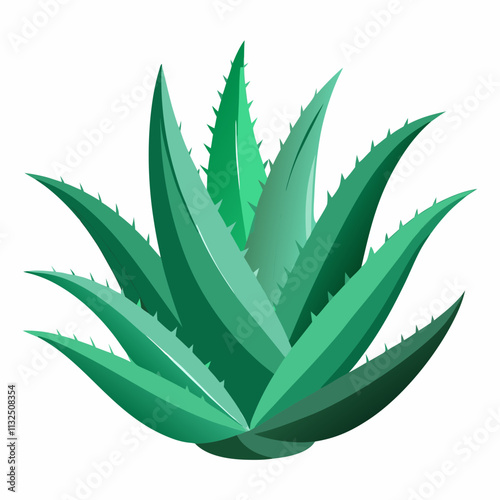 aloe Vera plant vector white background