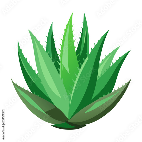 aloe Vera plant vector white background