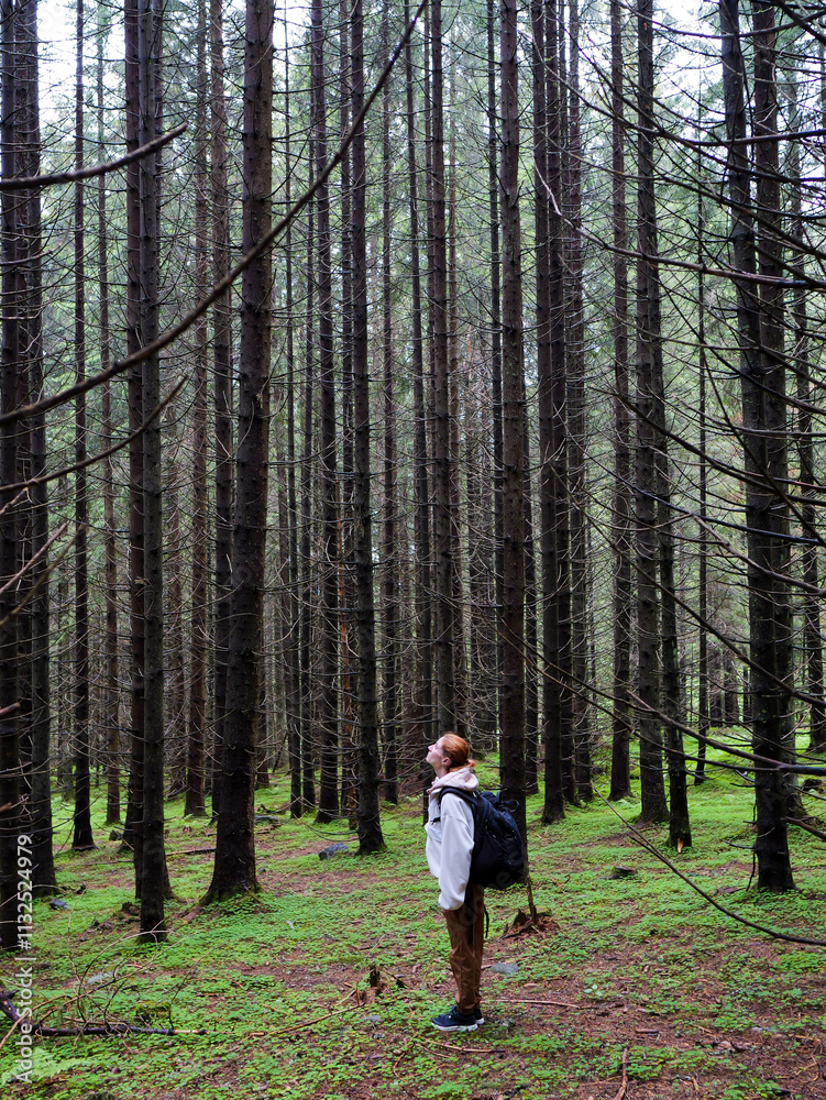 Obraz premium The woman stands among tall, dry fir trees and looks at nature. Woman with backpack on her back hiking in the mountains. Woman admiring nature.