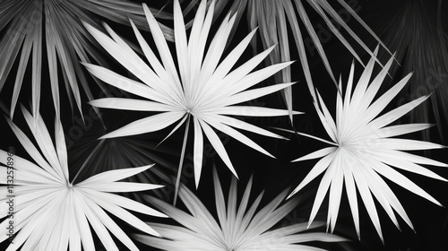 Abstract monochrome pattern of radiating palmetto leaves on black background