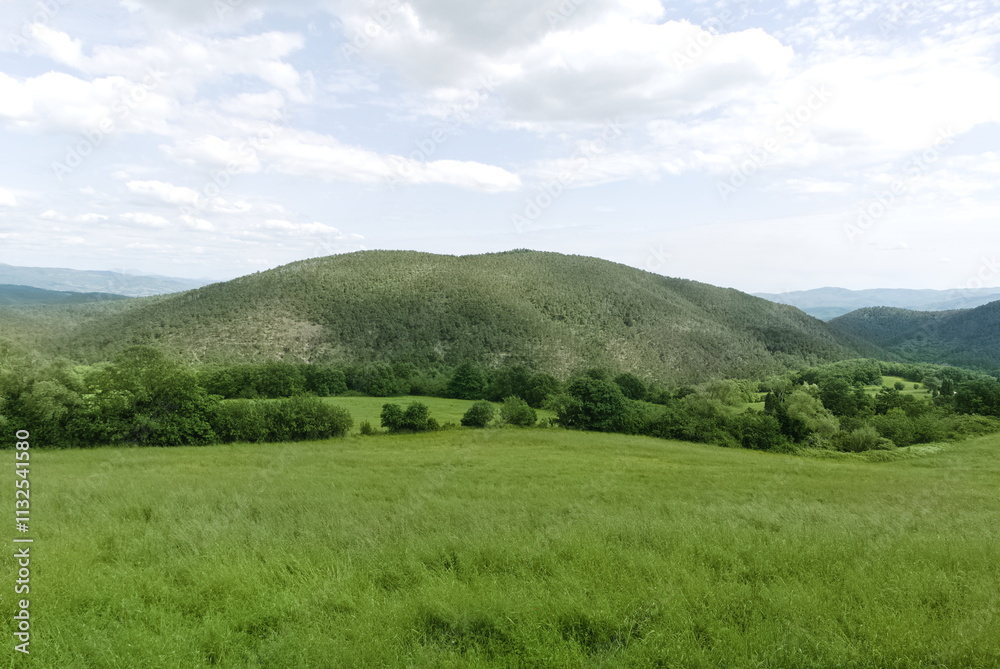 Fototapeta premium scenic and relaxing bucolic hillside view