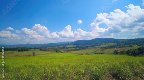 Vibrant pastoral landscape with lush green fields under a bright blue sky and fluffy white clouds ideal for nature and agriculture themes photo