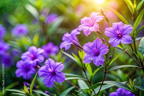 Capture Ruellia tuberosa's beauty: minnieroot, fever root, snapdragon root, sheep potatoâ€”candid photography at its finest.