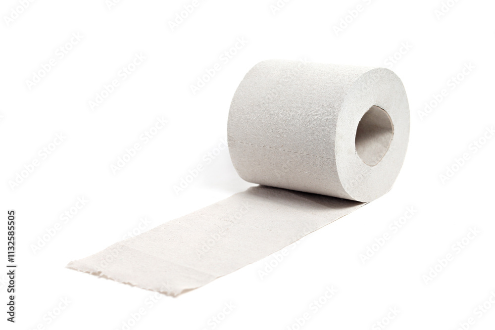 Fototapeta premium Single toilet paper