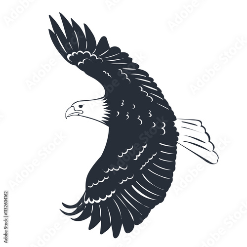 soaring bird silhouette black on white background, vector