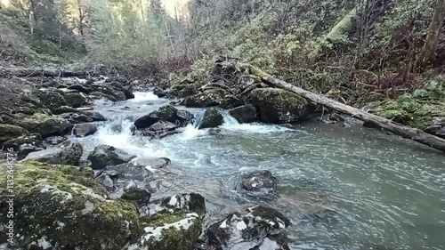 A turbulent river flowing down from the mountains through an autumn forest, skirting rocks and fallen trees in its bed in the shadow of the rising sun early in the morning.